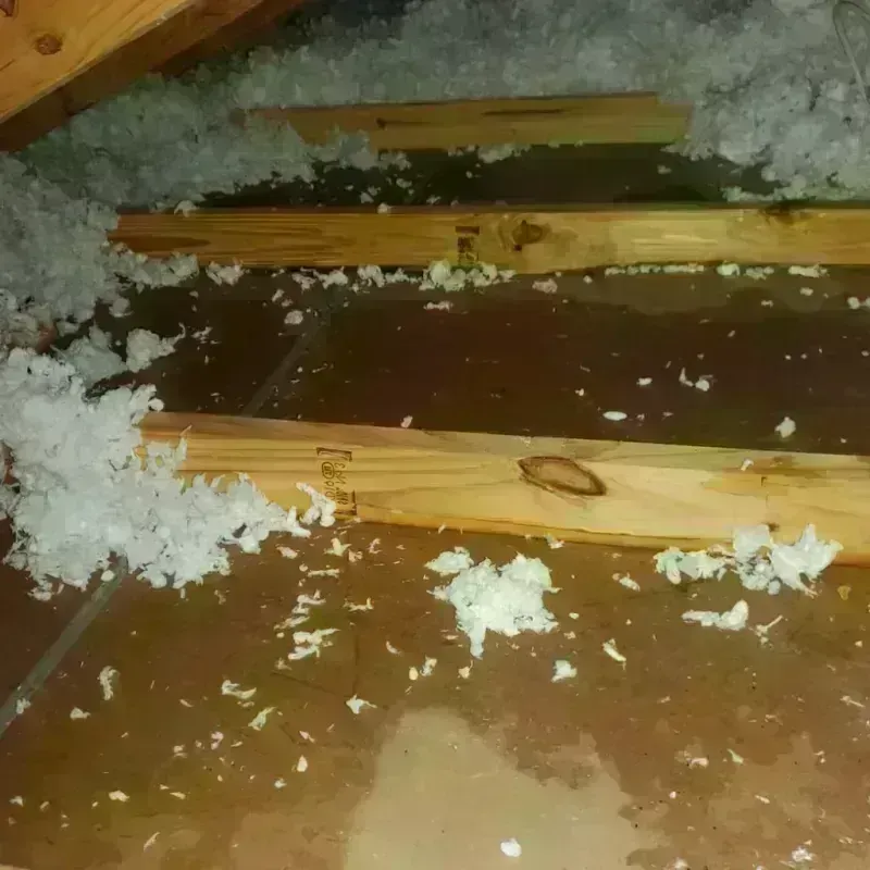 Attic Water Damage in San Anselmo, CA